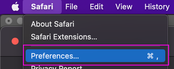 Image of Safari Setting App icon outlined to highlight