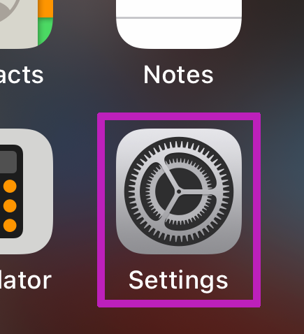 Image of Safari Setting App icon outlined to highlight